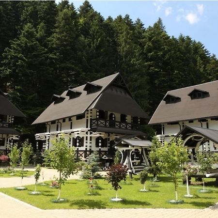 Hotel Complex Lions Bucovina Voronet Zewnętrze zdjęcie