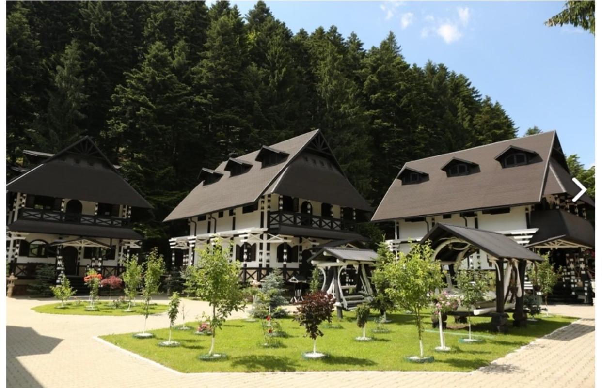 Hotel Complex Lions Bucovina Voronet Zewnętrze zdjęcie