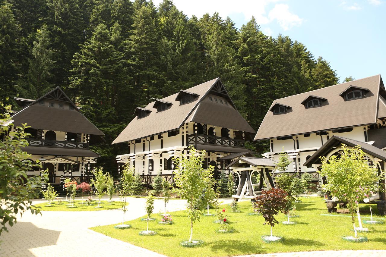 Hotel Complex Lions Bucovina Voronet Zewnętrze zdjęcie