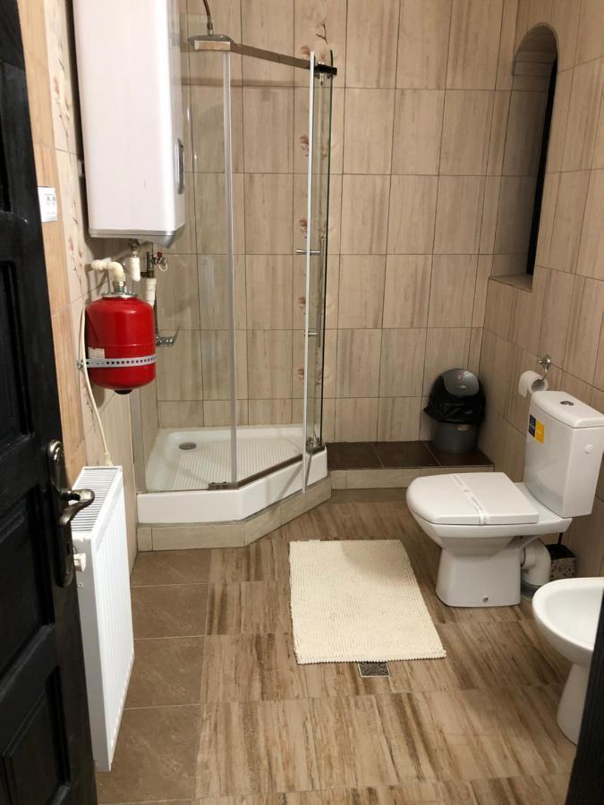 Hotel Complex Lions Bucovina Voronet Zewnętrze zdjęcie
