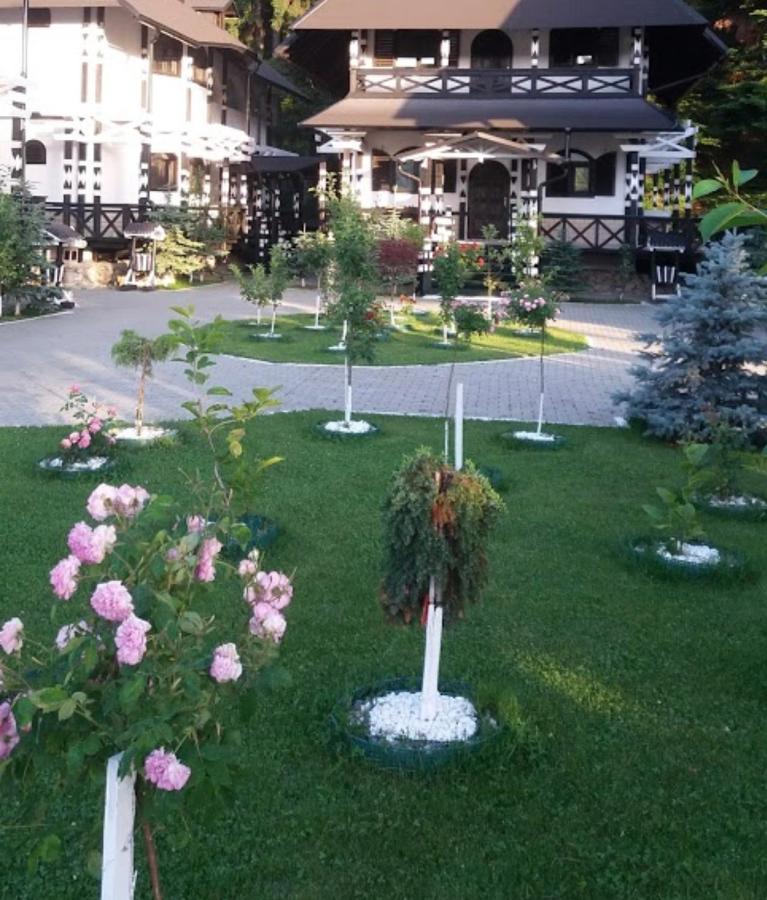 Hotel Complex Lions Bucovina Voronet Zewnętrze zdjęcie